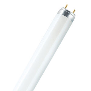 Fluora T8 36 W/77